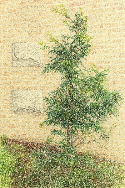 ChatGPT Image 2025년 10월 24일 오후 01_14_56.png