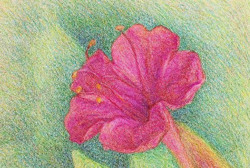 ChatGPT Image 2025년 10월 8일 오후 05_49_37.png