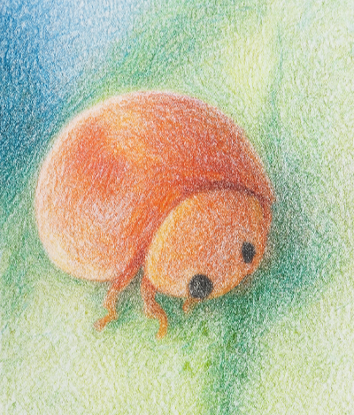 ChatGPT Image 2025년 10월 28일 오후 04_34_46.png