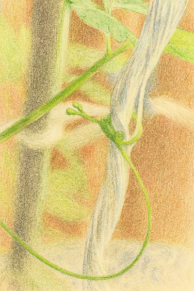 ChatGPT Image 2025년 9월 6일 오후 08_09_54.png