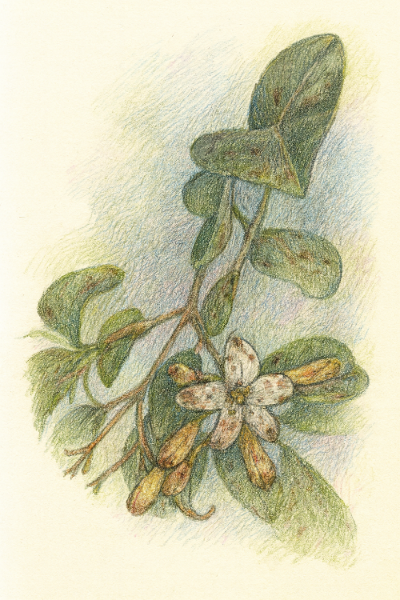 ChatGPT Image 2025년 11월 17일 오후 03_48_04.png