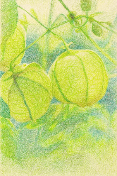 ChatGPT Image 2025년 11월 20일 오후 01_49_09.png