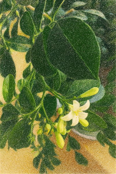 ChatGPT Image 2025년 9월 26일 오후 01_28_18.png