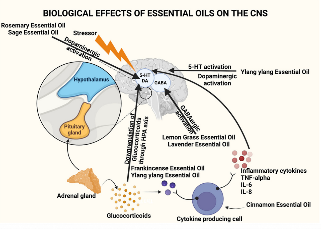 스크린샷 2025-08-06 오후 11.47.34.png