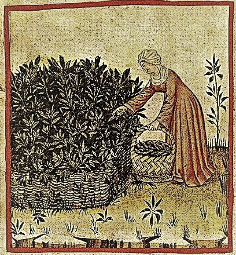 스크린샷 2024-08-20 오후 6.44.46.png