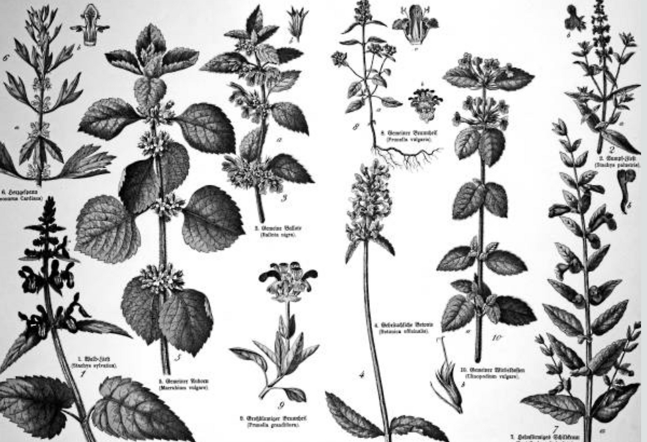 스크린샷 2025-08-29 오후 11.49.09.png