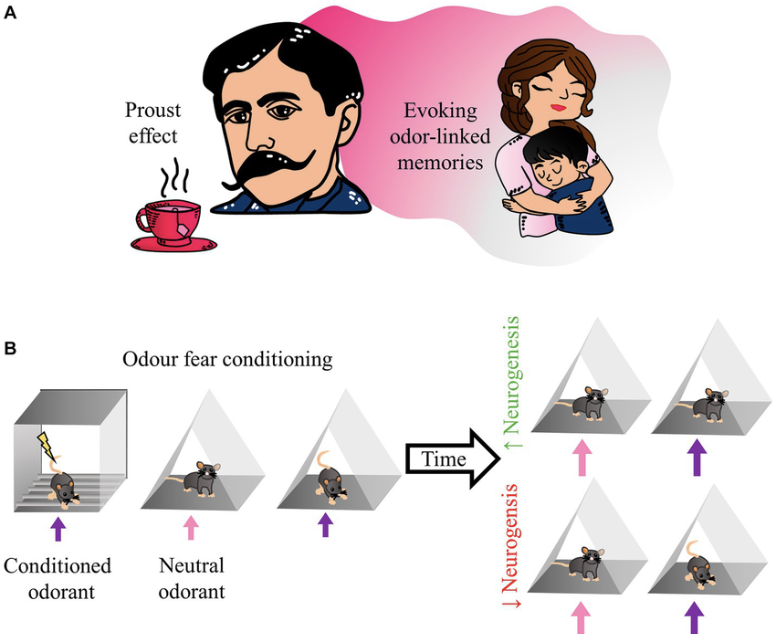스크린샷 2025-09-14 오전 12.46.32.png