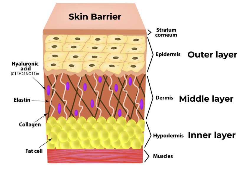 스크린샷 2025-08-16 오전 12.34.12.png