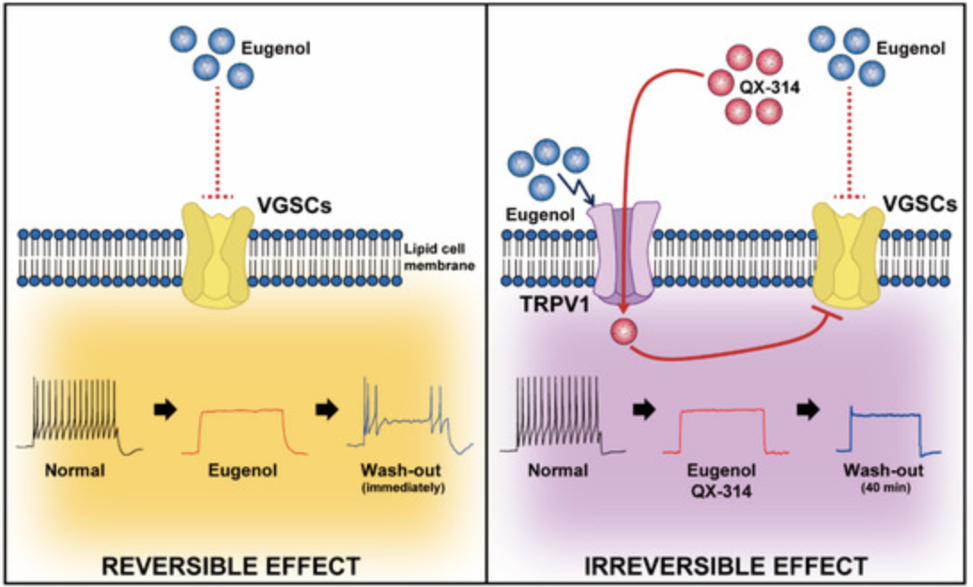 스크린샷 2025-09-03 오전 1.17.05.png