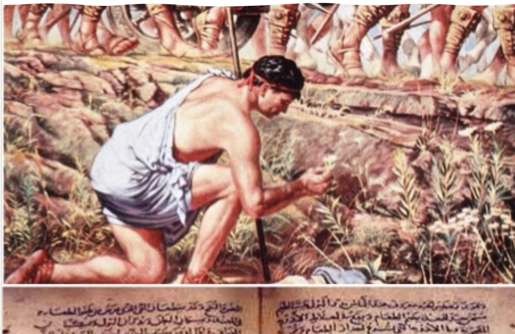 스크린샷 2025-07-30 오후 4.35.48.png