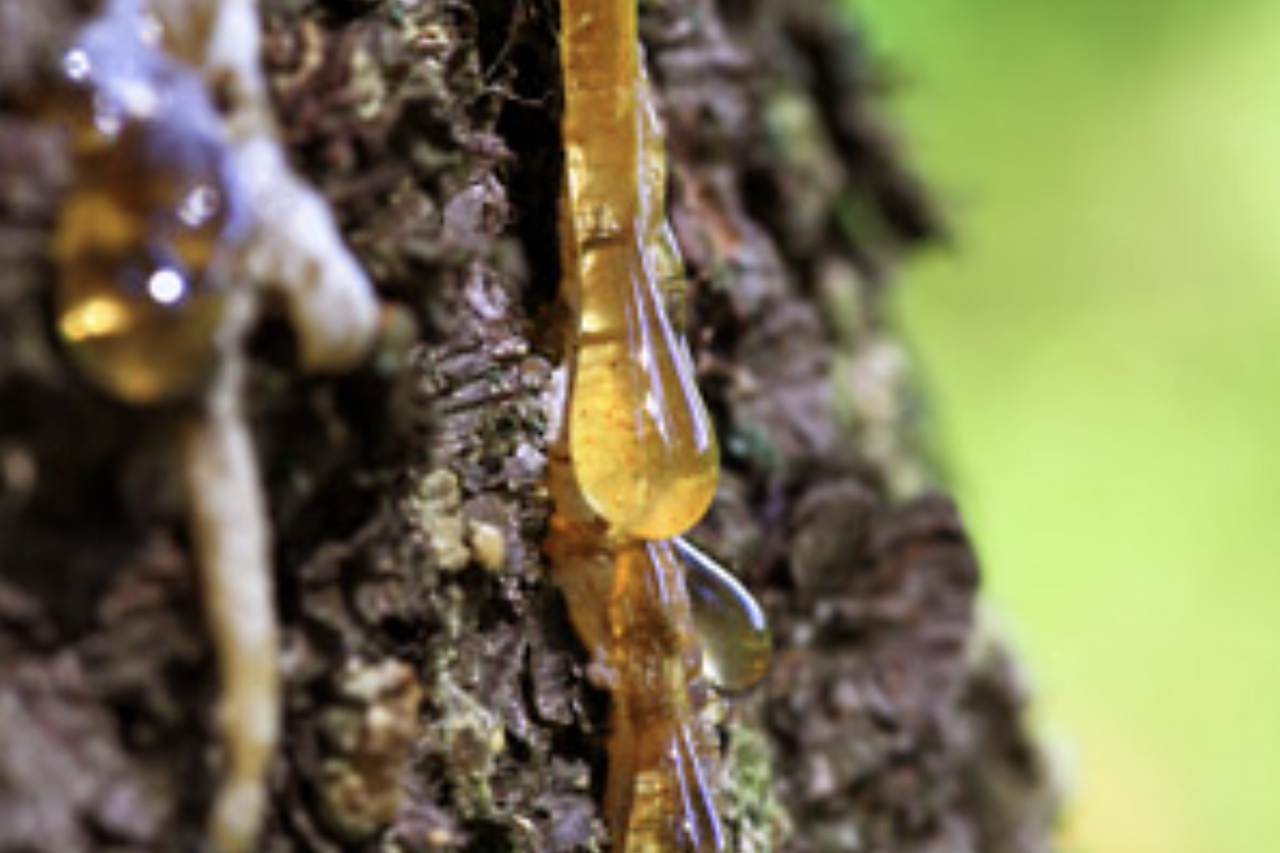 스크린샷 2025-10-09 오후 11.14.16.png