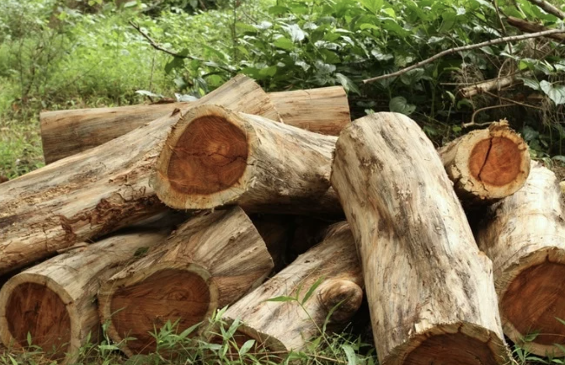 스크린샷 2025-07-26 오후 9.25.11.png