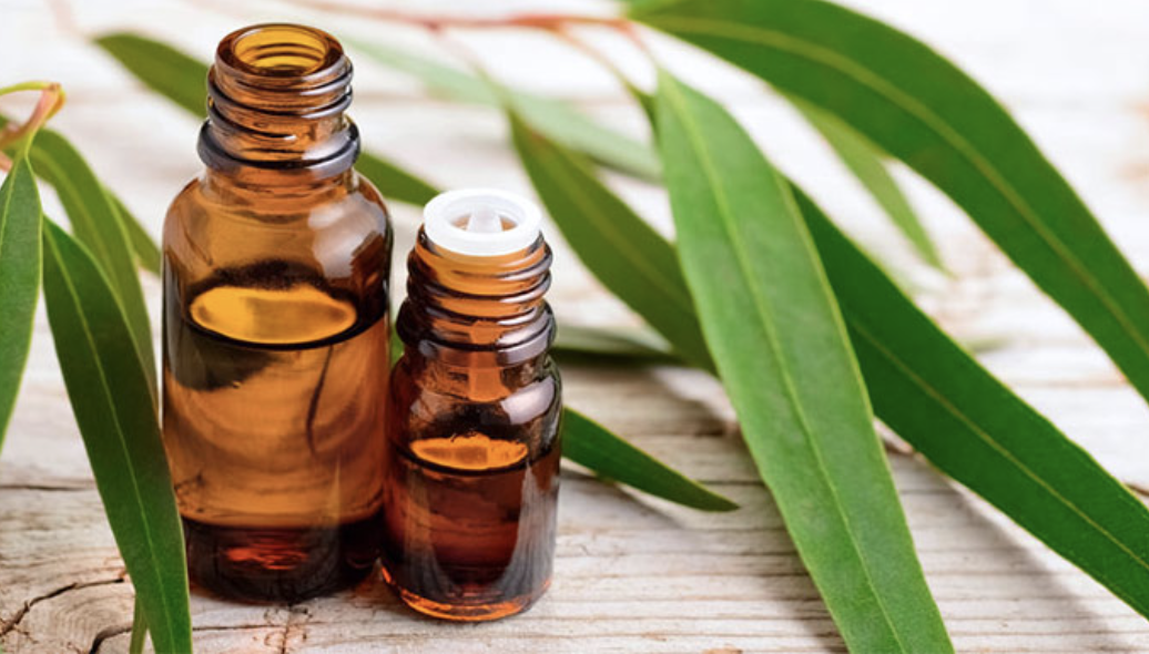 스크린샷 2025-08-08 오전 12.13.11.png