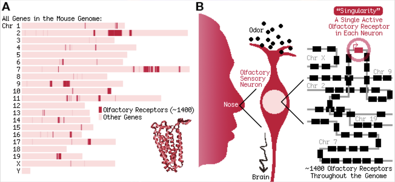 스크린샷 2025-09-14 오전 12.45.07.png