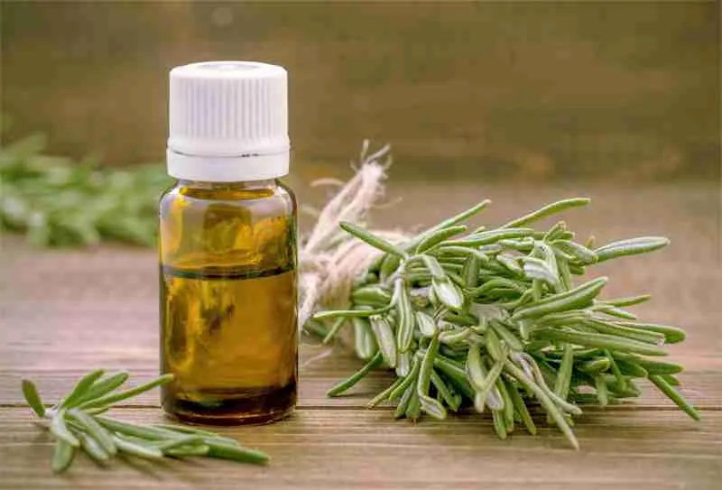 blg130518_rosemary-essential-oil-ursolic-acid.png
