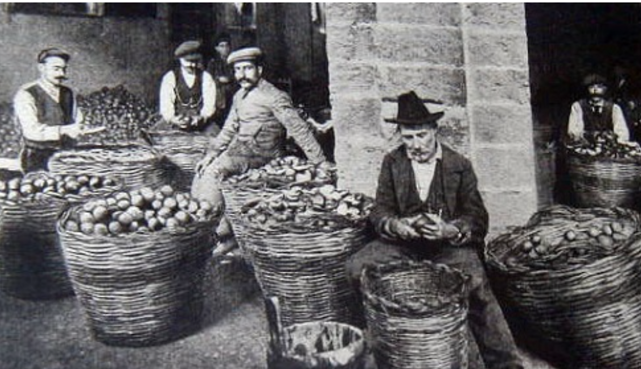 스크린샷 2025-07-17 오후 8.38.55.png