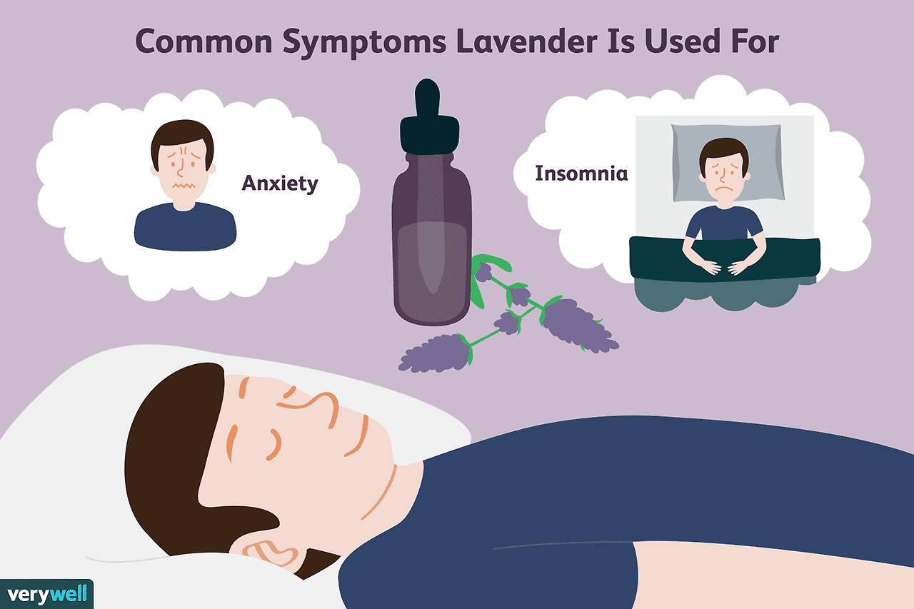 lavender-for-less-anxiety-3571767-FINAL-f3b22e11e3e8492480d7ad4ce2dcb975.png