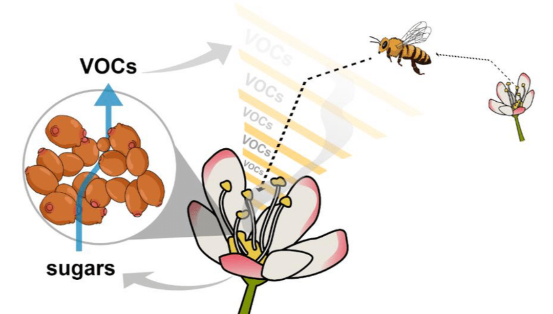 스크린샷 2025-09-03 오후 9.38.49.png