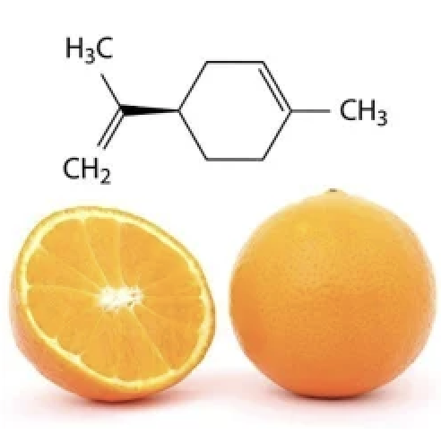 스크린샷 2024-09-01 오전 10.43.39.png