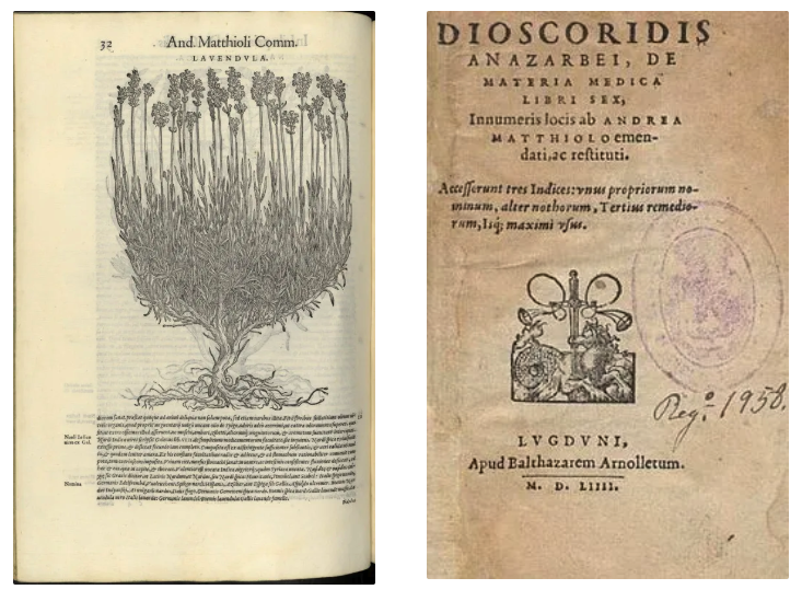 스크린샷 2025-07-29 오후 11.18.18.png