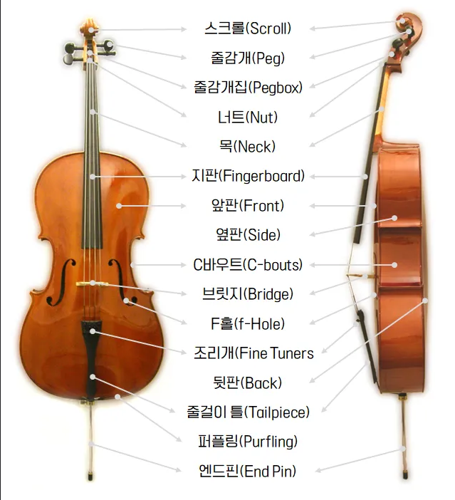첼로의 구조.png