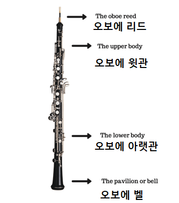 3. 리드를 끼운 오보에.png