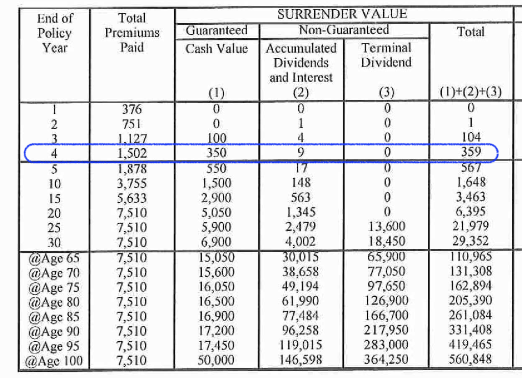 해외보험_역외보험_달러보험_목돈_거치식_보증_비보증_자산관리 6.png