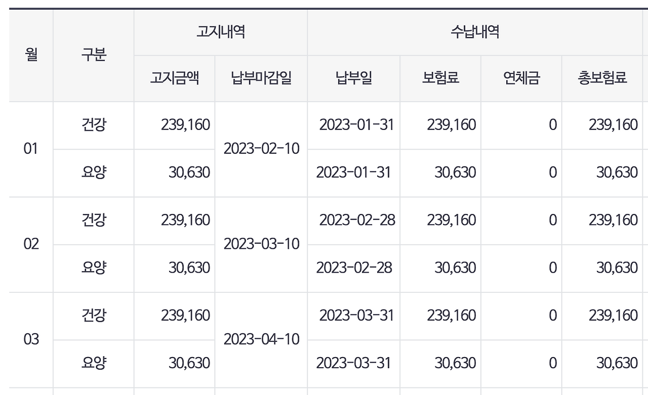 국민건강보험_소득부과보험료_조정_정산_소득월액_보수외소득_사업_직장가ᄋ 5.png