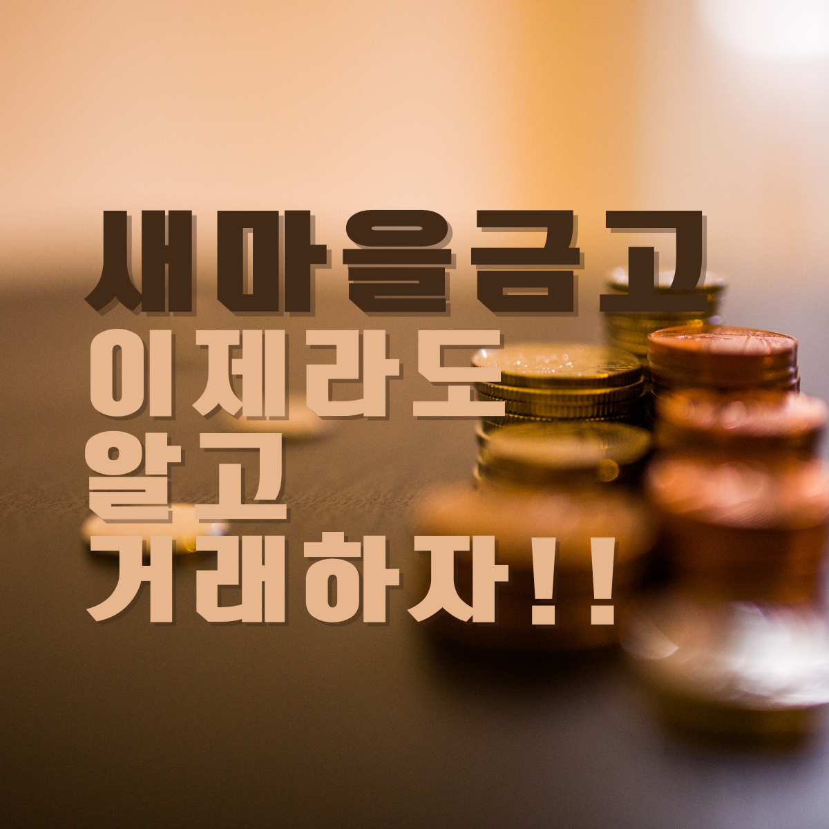 새마을금고_mg_뱅크런_pf_프로젝트파이낸스_부동산_부실_마을금고_부도_예금자보호 1.png