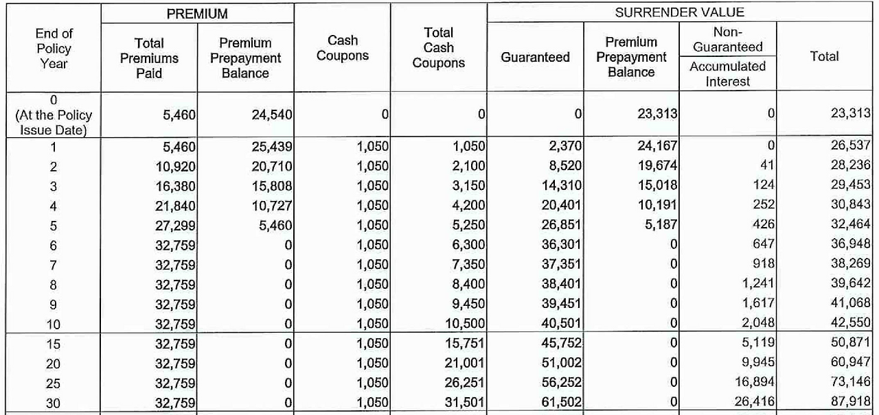 해외보험_역외보험_달러보험_목돈_거치식_보증_비보증_자산관리 1.png