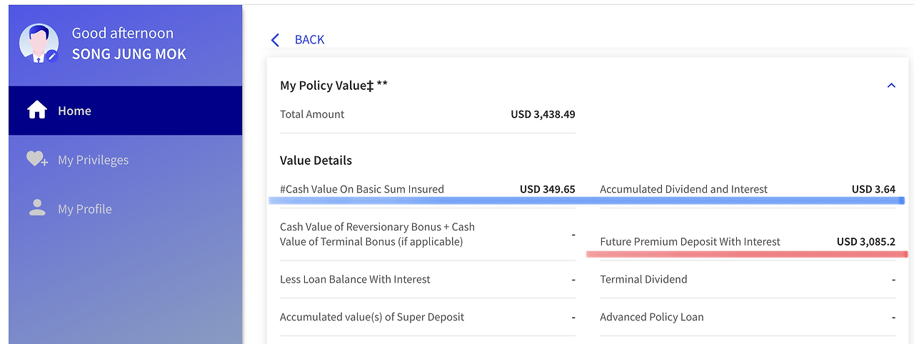 해외보험_역외보험_달러보험_목돈_거치식_보증_비보증_자산관리 2.png