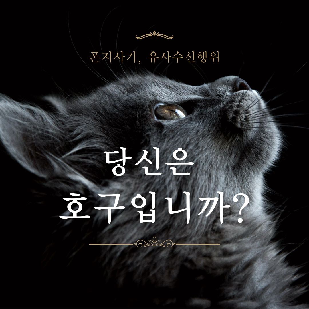 유사수신행위_유사수신_폰지_다단계_사기_금융사기_금감원_파인_중고차_그림_갤러리_병원 1.png