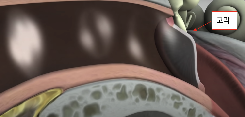 Screenshot 2024-01-04 at 12.33.16 PM.png