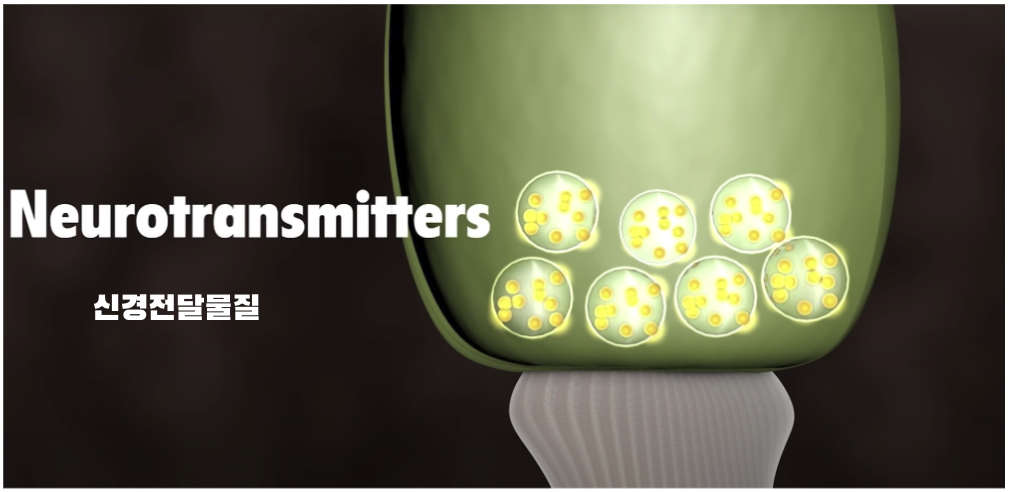 Screenshot 2024-01-04 at 1.11.50 PM.png