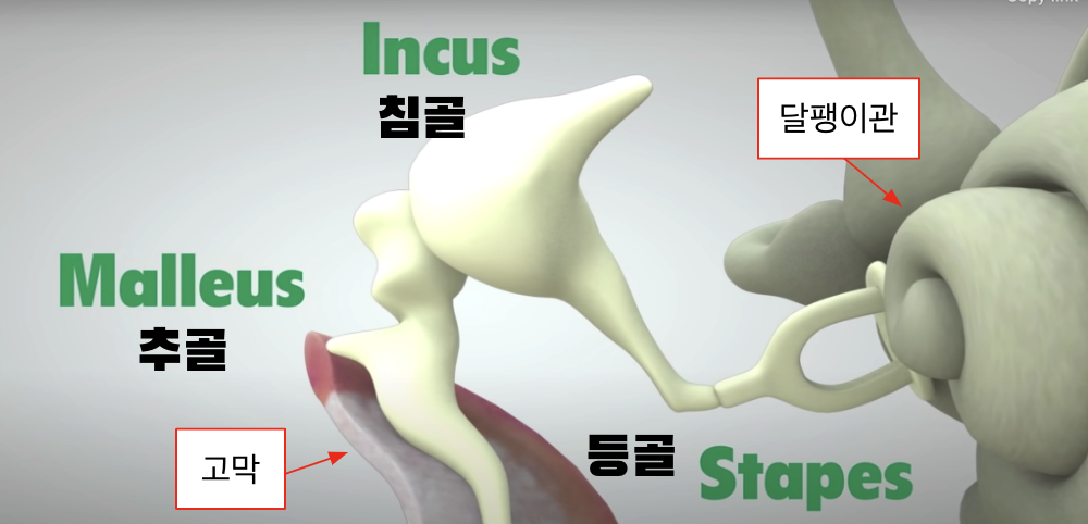 Screenshot 2024-01-04 at 12.56.35 PM.png