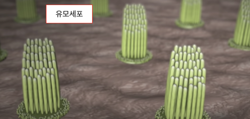 Screenshot 2024-01-04 at 1.09.36 PM.png