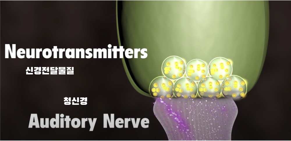 Screenshot 2024-01-04 at 1.12.11 PM.png