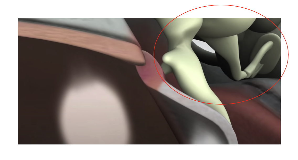 Screenshot 2024-01-04 at 12.40.48 PM.png