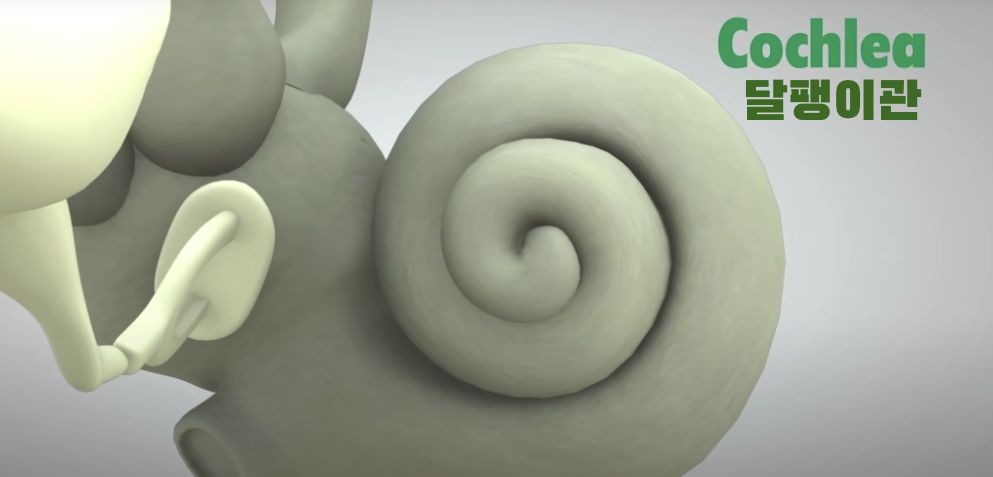 Screenshot 2024-01-04 at 1.03.29 PM.png