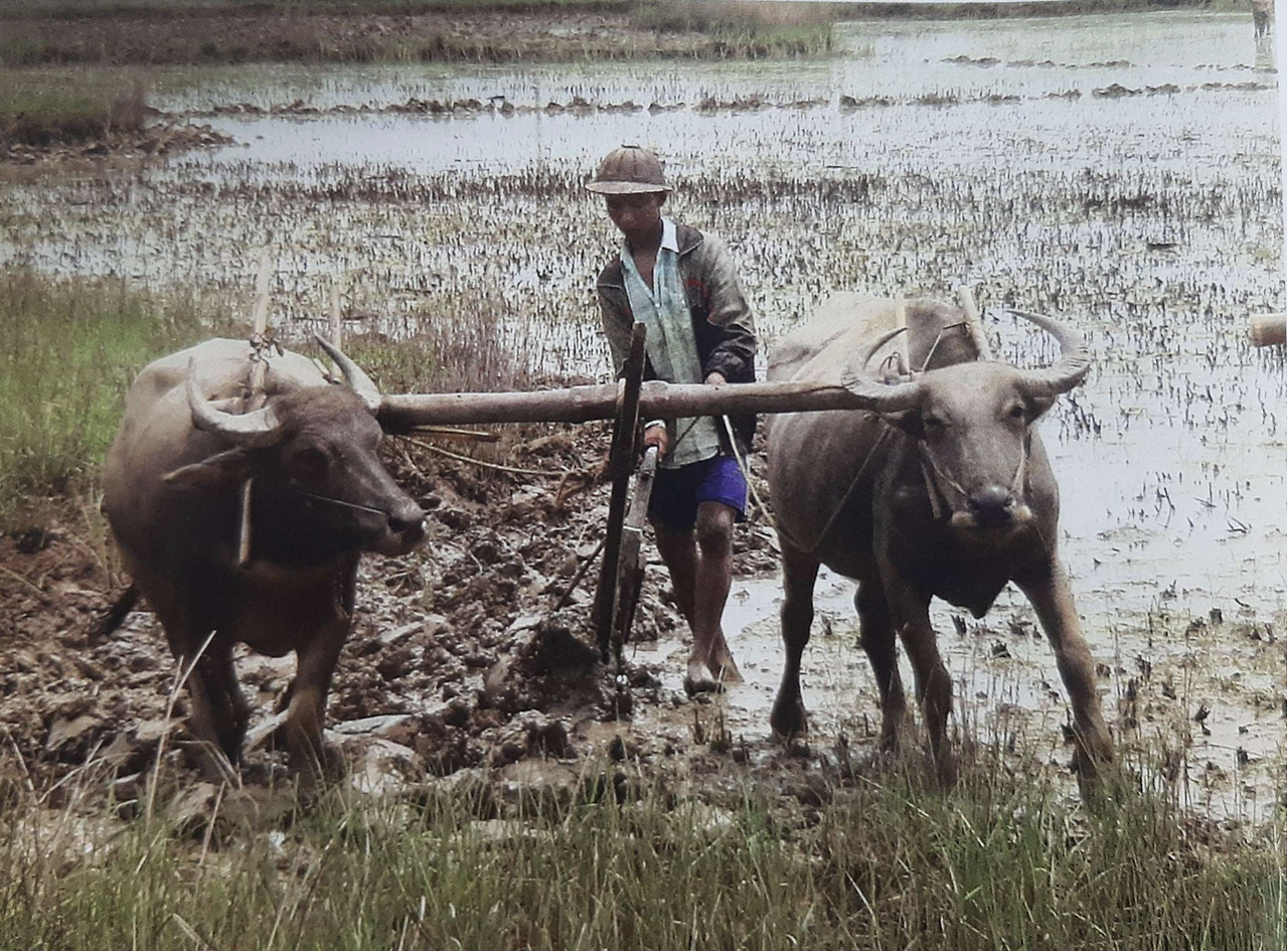 스크린샷 2022-09-03 오후 4.18.55.png