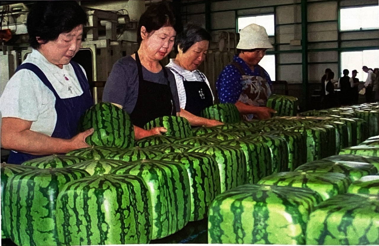 스크린샷 2023-08-28 오전 11.11.45.png