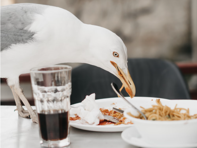 スクリーンショット 2025-04-09 062526.png