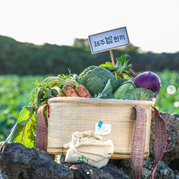 화면 캡처 2023-01-19 173225.png