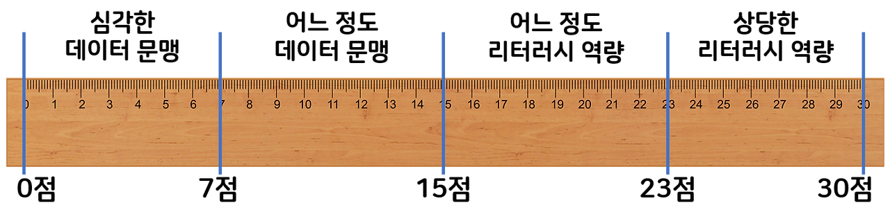 데이터리터러시 역량 진단표.png