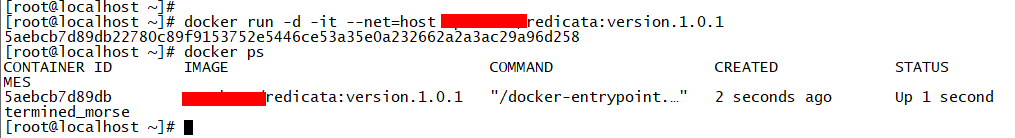 docker_run_result.png
