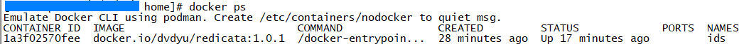 docker_podman_ps.png