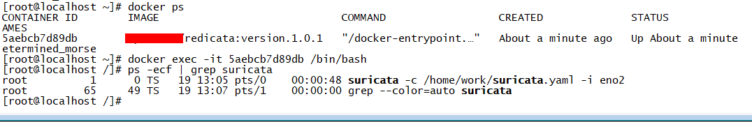 docker_exec_result.png