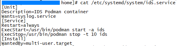 docker_podman_service.png