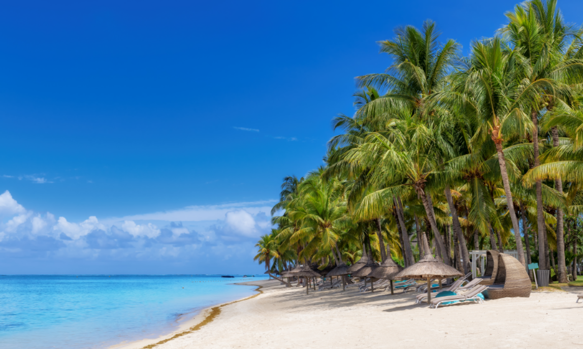 화면 캡처 2023-02-27 134605.png