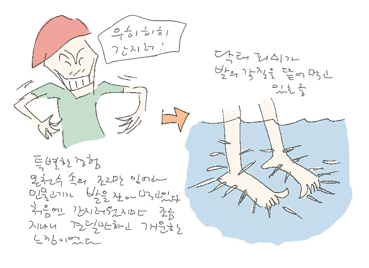 오키나와-닥터피쉬2.png